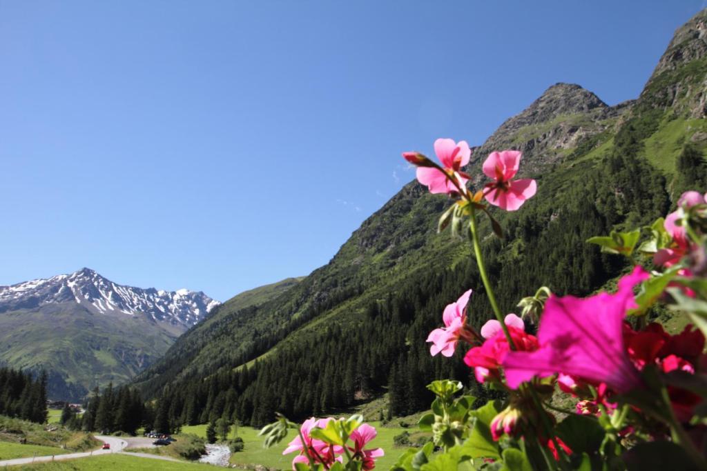 Haus Elisabeth Hotell Sankt Leonhard im Pitztal Rom bilde